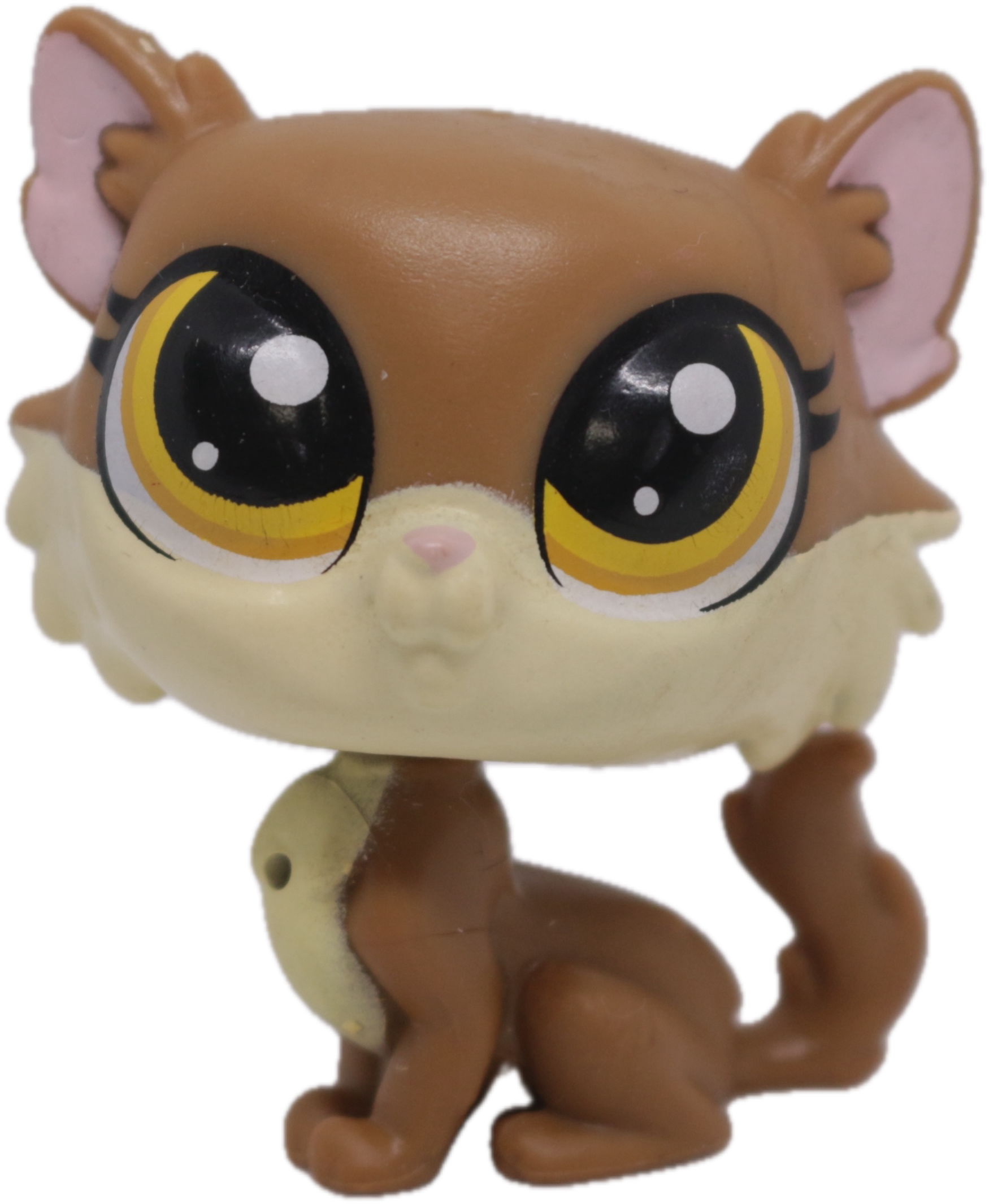 #64 Cat "Scruffles Fluffington"