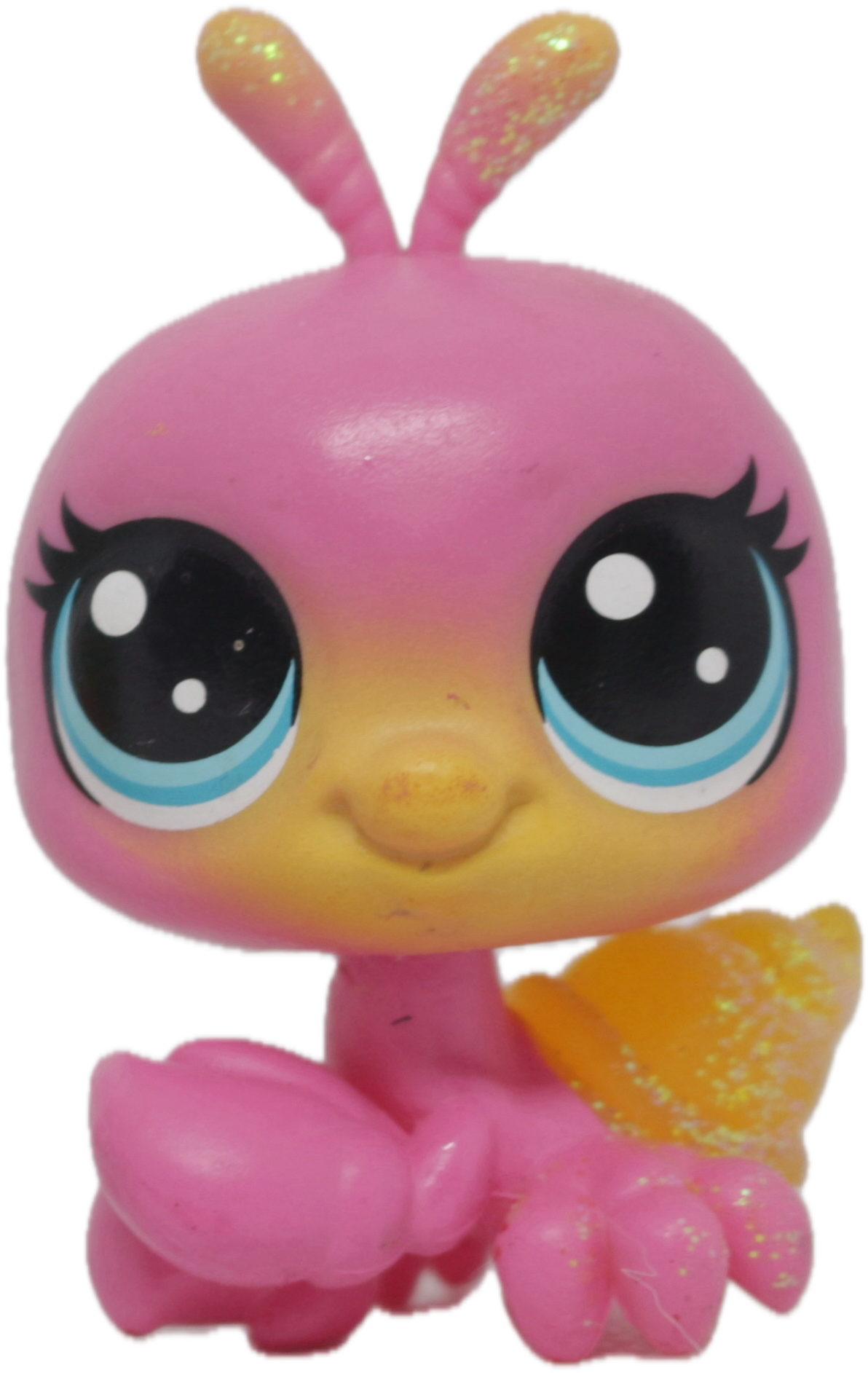 #1-69 Hermit Crab "Sunny Hiddencrab"