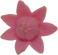 Lily Flower
