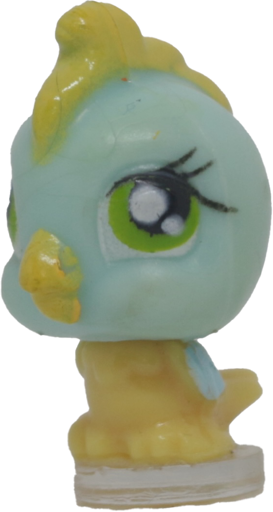 #T13 Teensiest Cockatoo