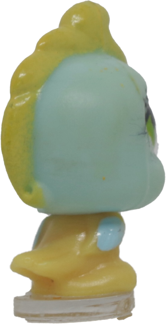 #T13 Teensiest Cockatoo