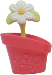 Flower Pot