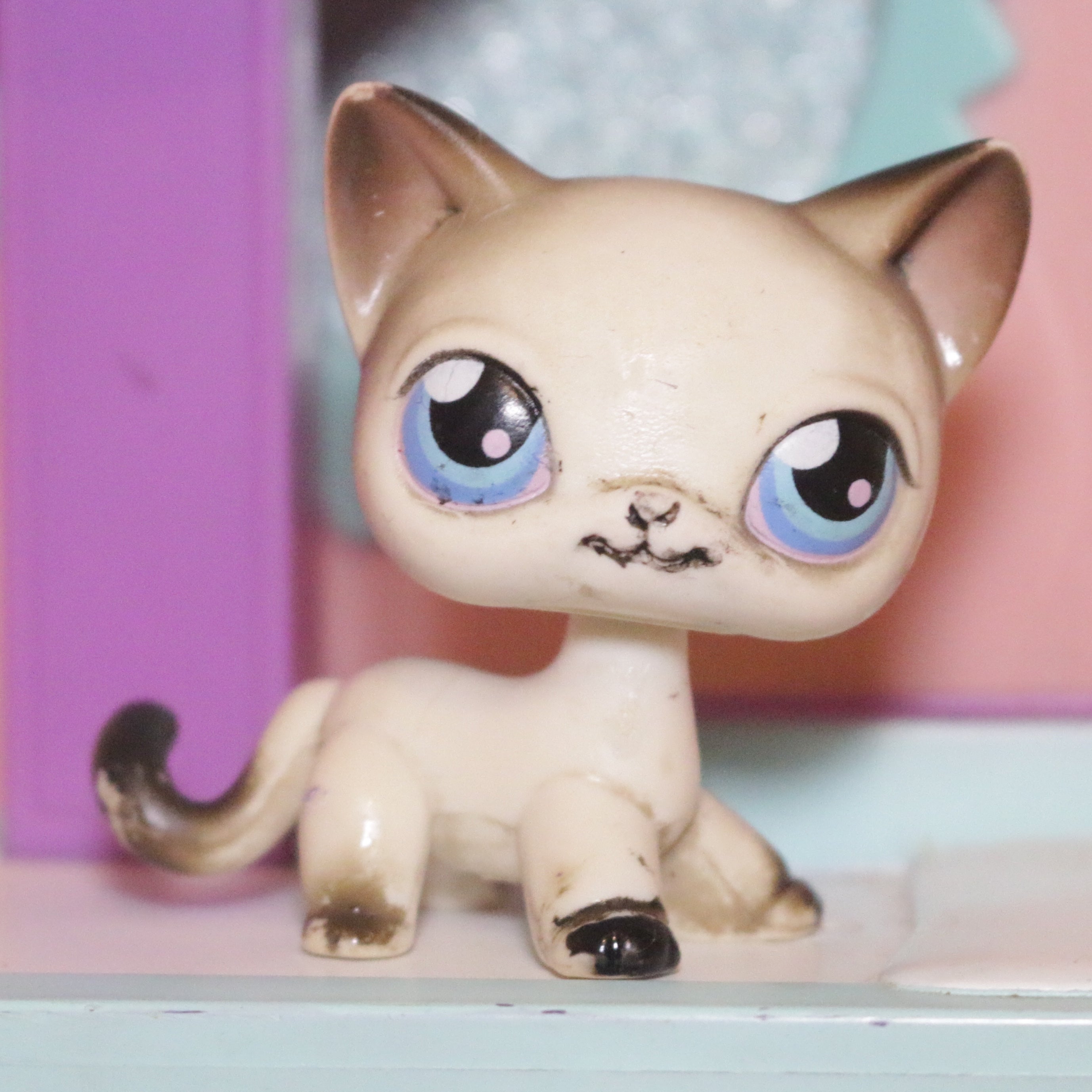 LPS #0005 Shorthair Cat (Damaged)
