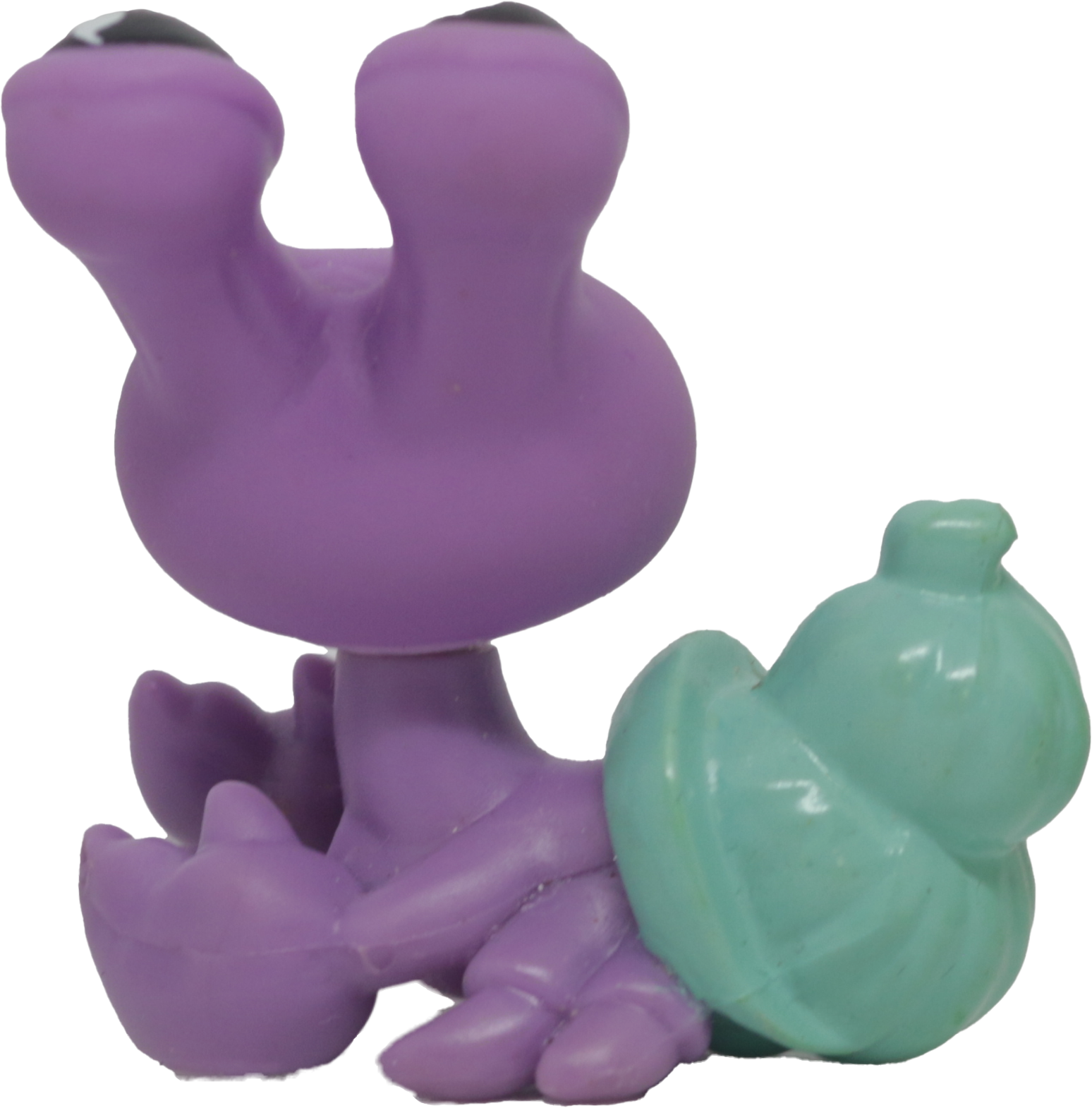 LPS No # Hermit Crab