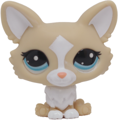 LPS G7 #012 Corgi