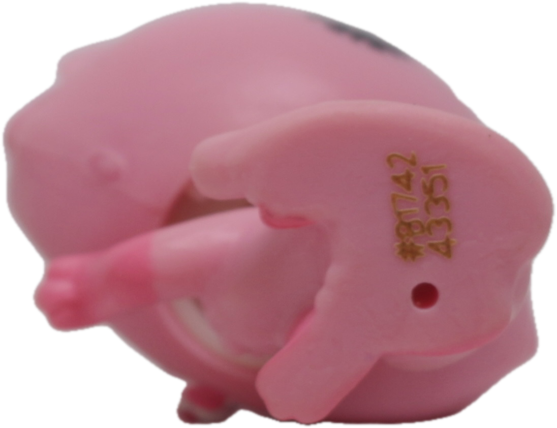 LPS #3880 Kitten "Cami Kitson"