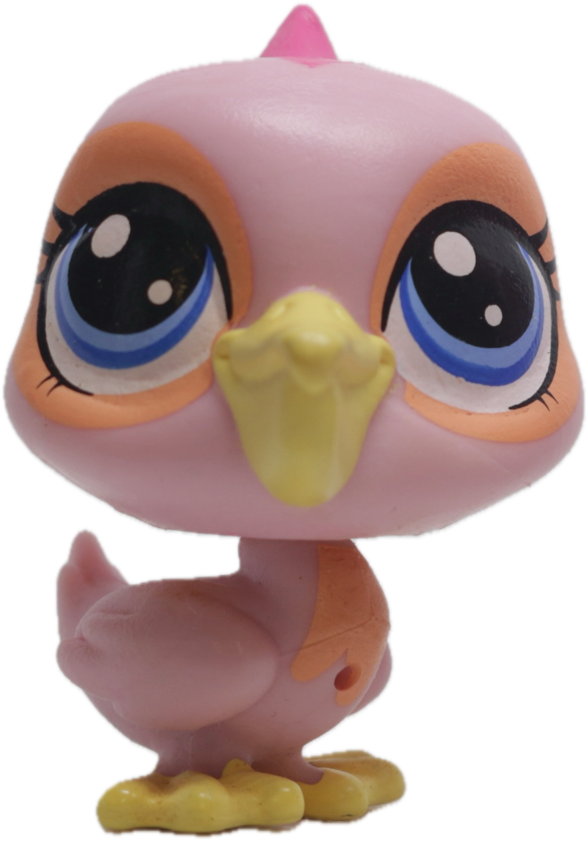 LPS #60 Pelican
