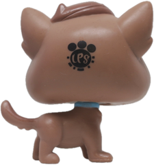 LPS #178 Kitten