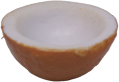 Coconut Bowl