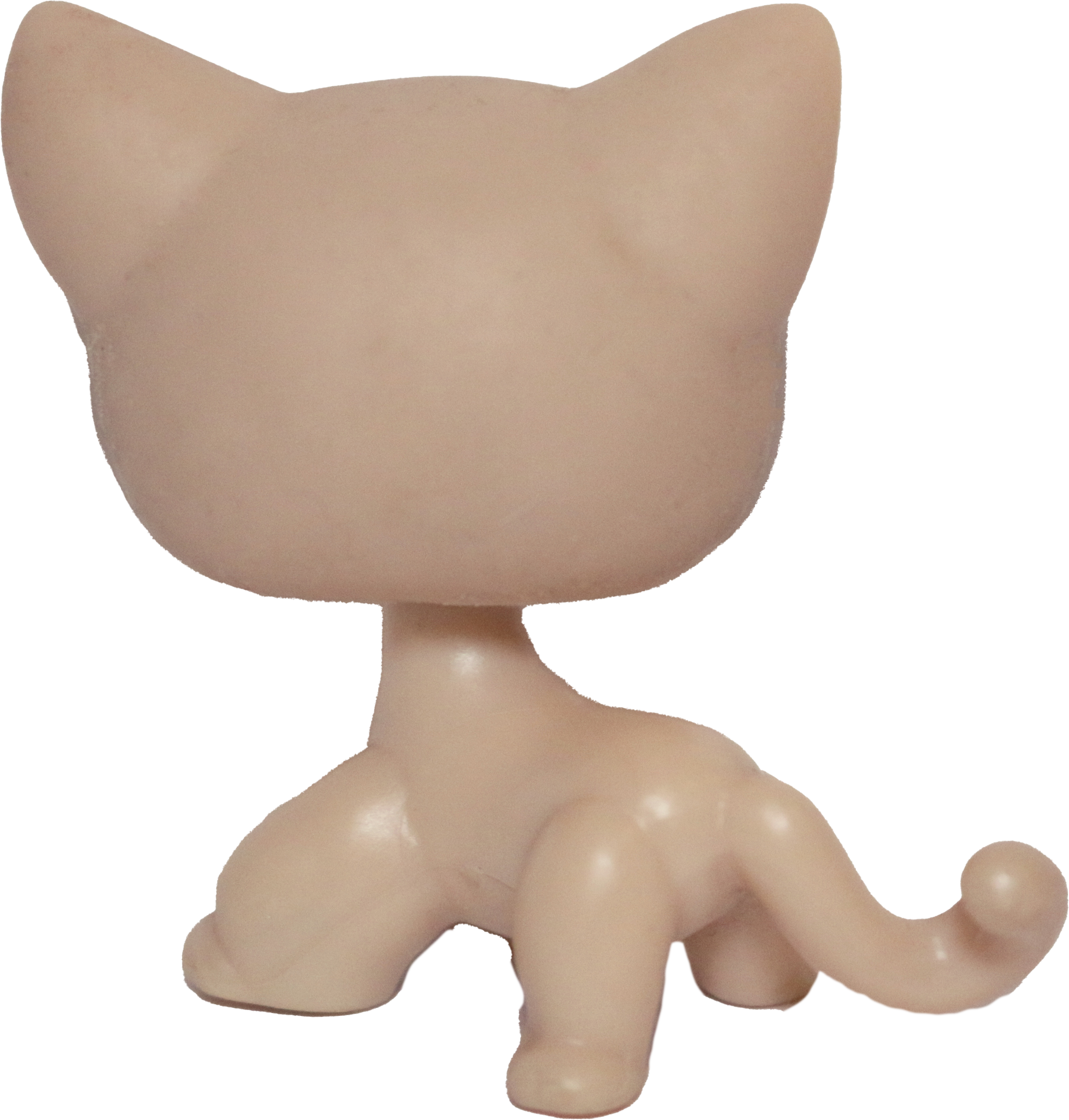 #0318 Shorthair Cat (Deflocked)