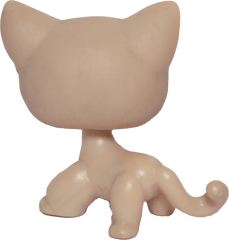 #0318 Shorthair Cat (Deflocked)