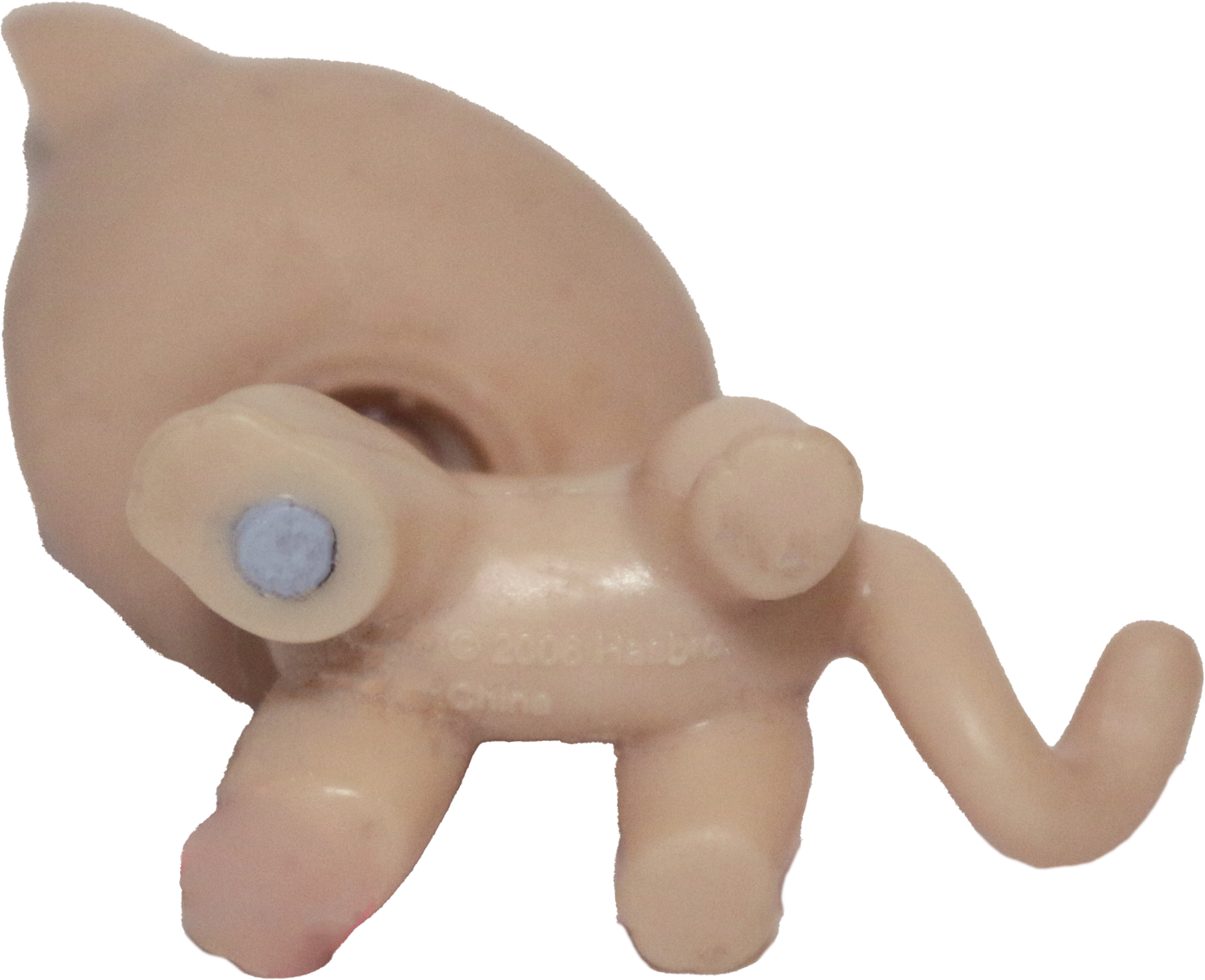 #0318 Shorthair Cat (Deflocked)