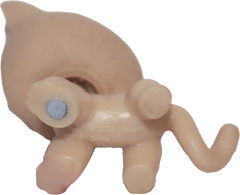 #0318 Shorthair Cat (Deflocked)