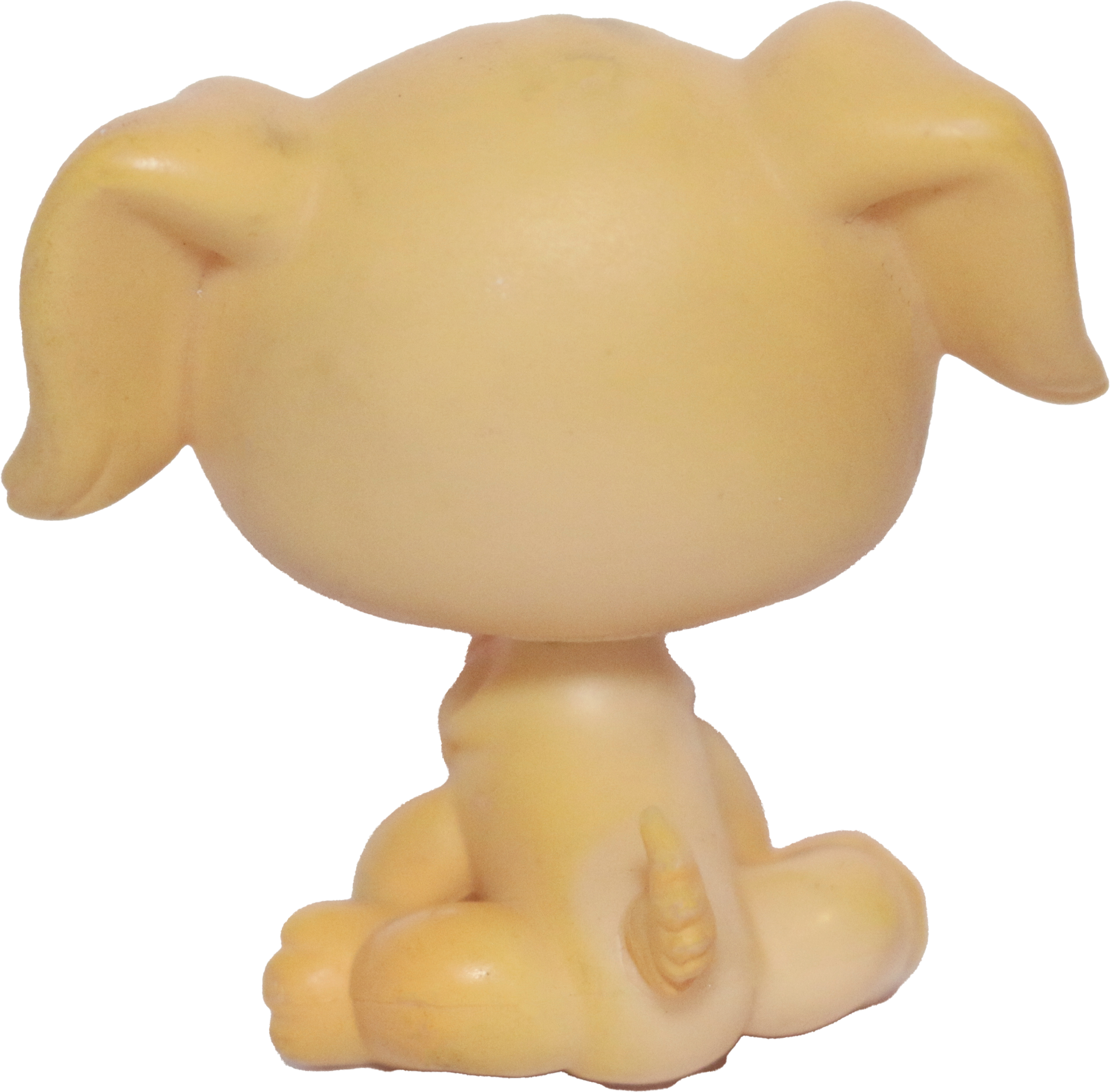 #0021 Golden Retriever