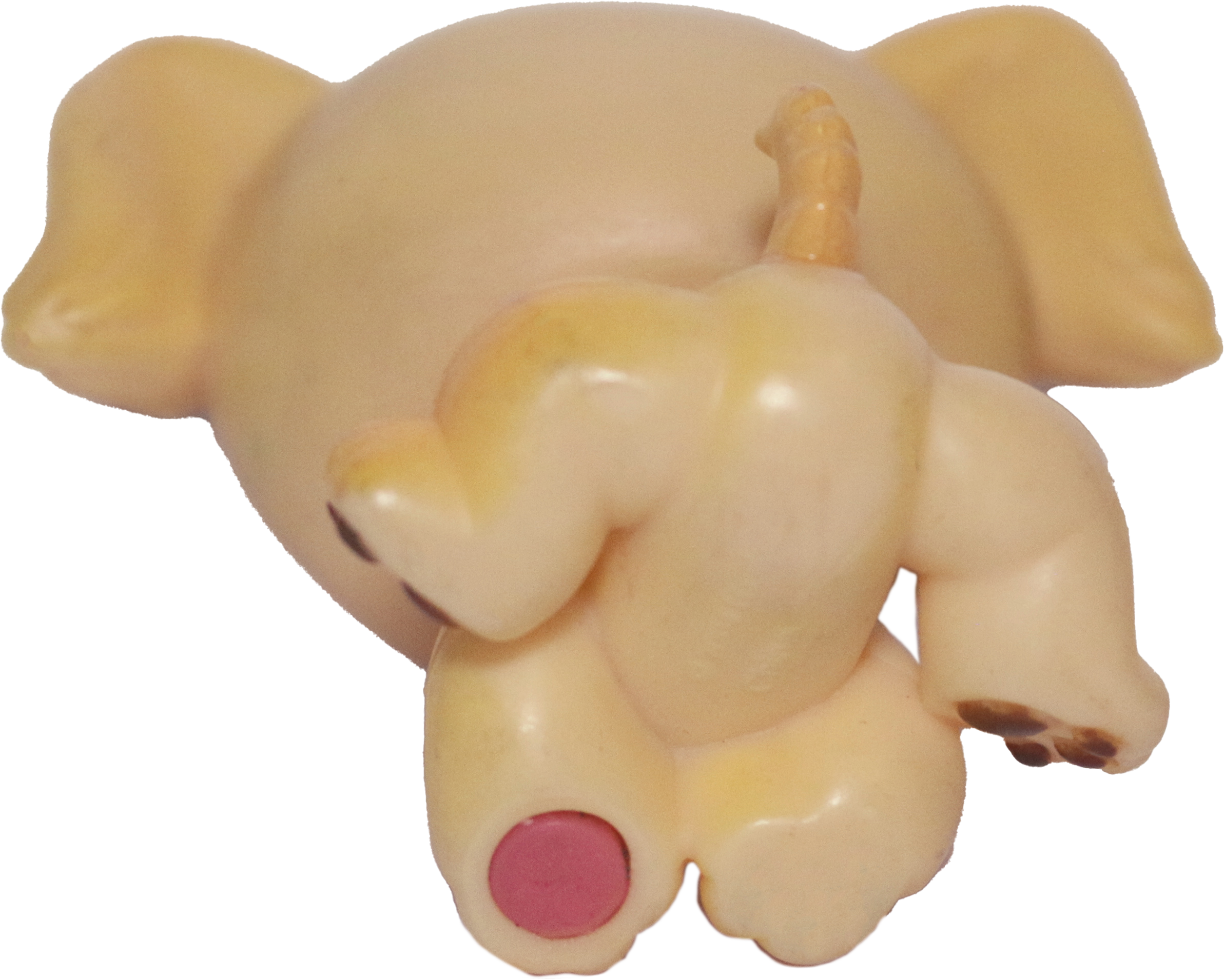 #0021 Golden Retriever