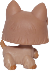 #0249 Scottish Terrier