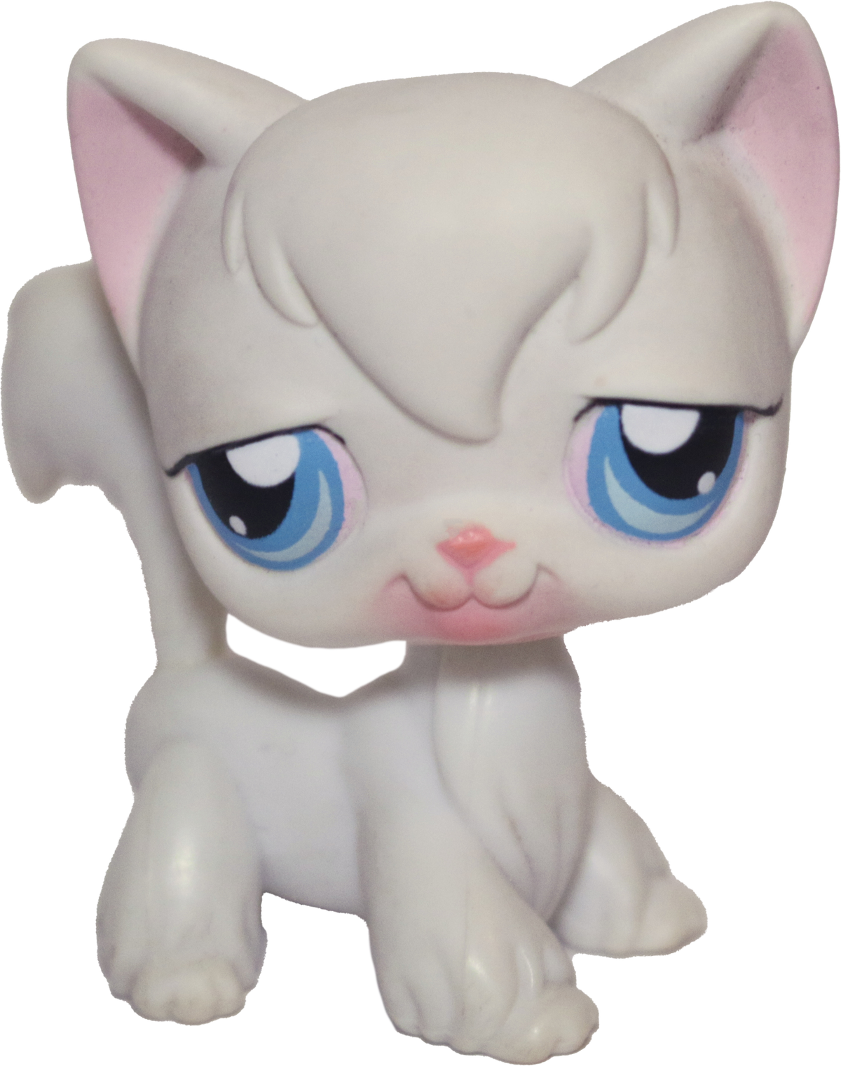 #0009 Angora Longhair Cat