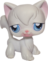 #0009 Angora Longhair Cat