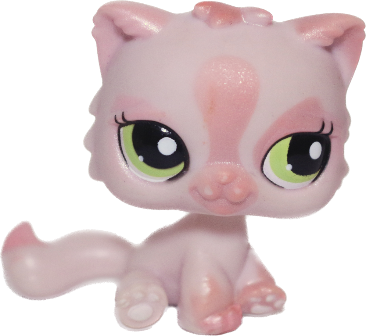 #1083 Sitting Persian Cat