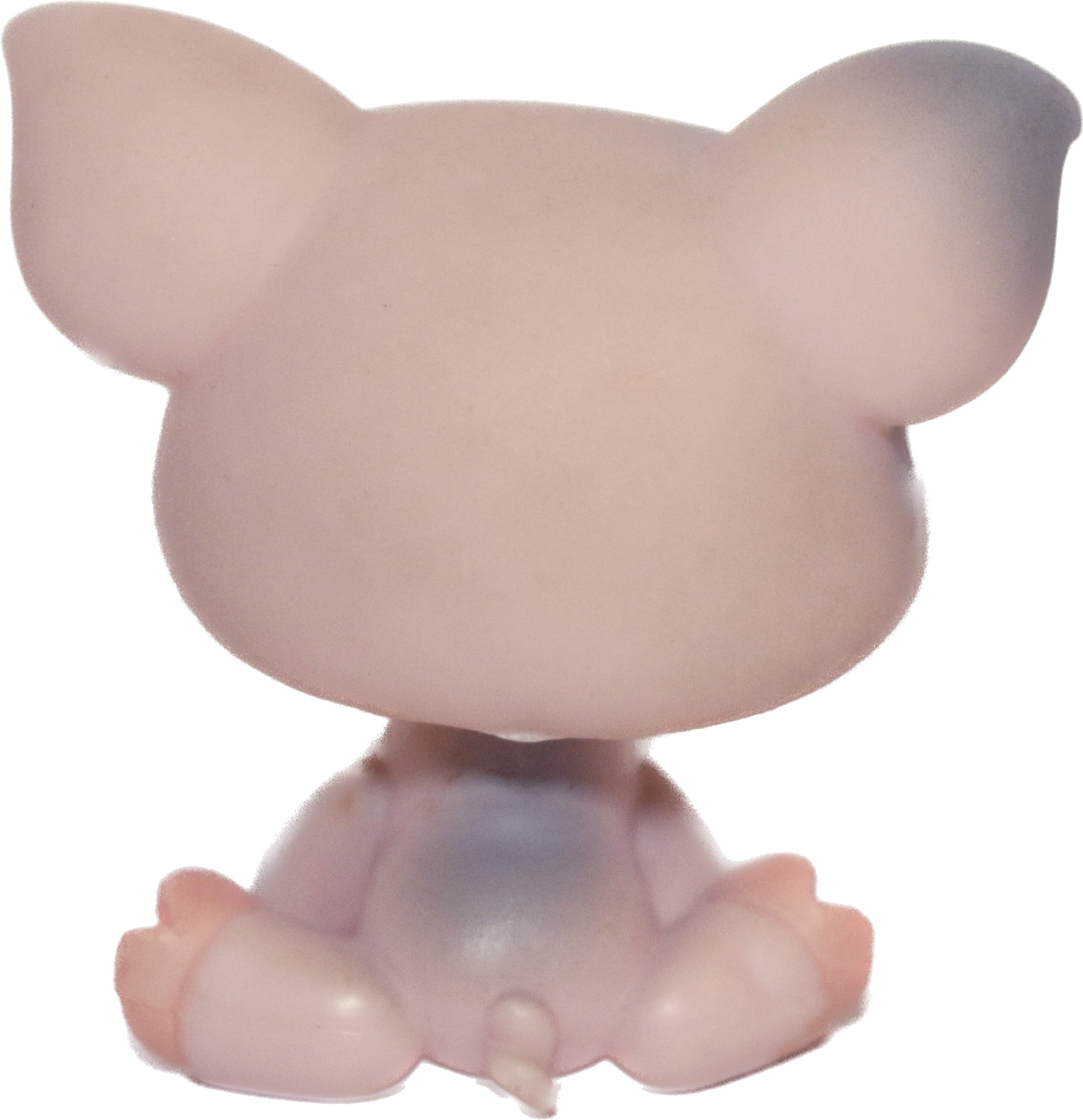#0259 Pig