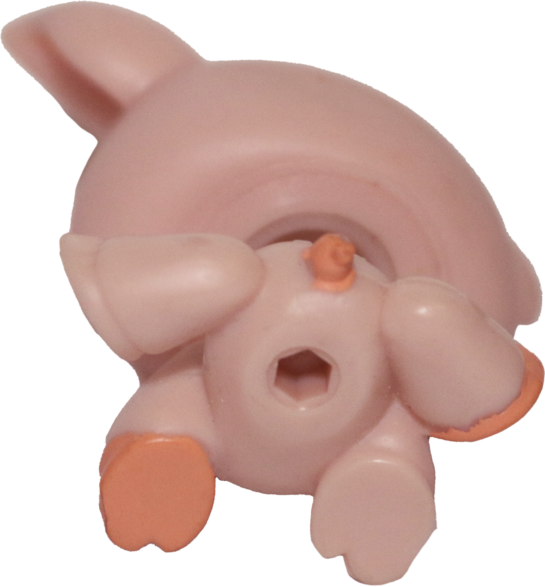 #0885 Pig