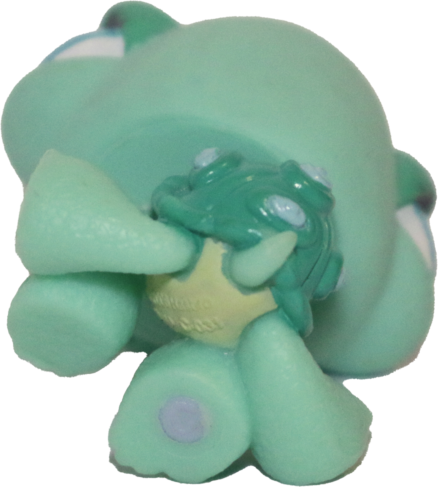 #0642 Turtle