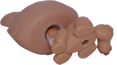 #0649 Crouching Kitten