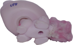 #2619 Crouching Kitten