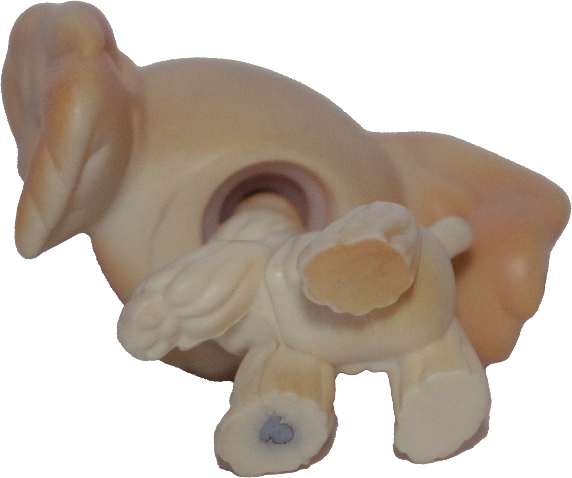 #0347 Cocker Spaniel