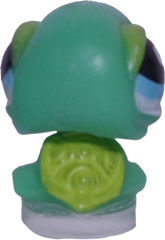 #T?? Teensiest Turtle