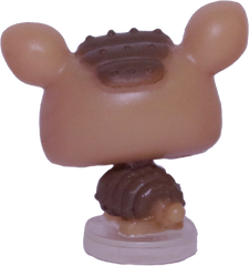 #T?? Teensiest Armadillo