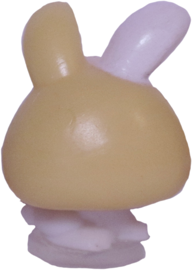 #T?? Teensiest Bunny