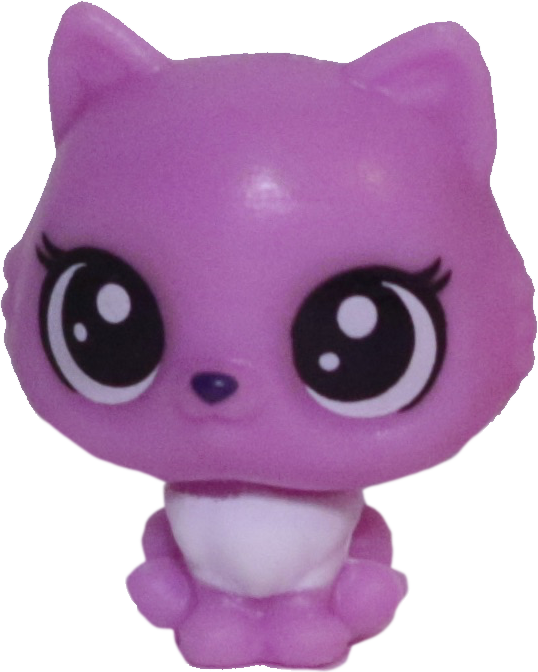 No # Teensy Persian Kitten