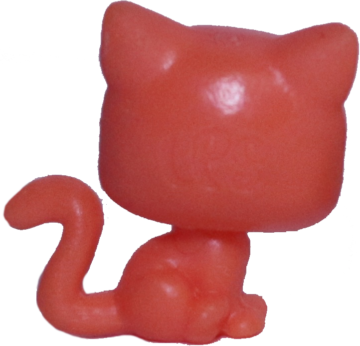 Unknown # Teensy Kitten