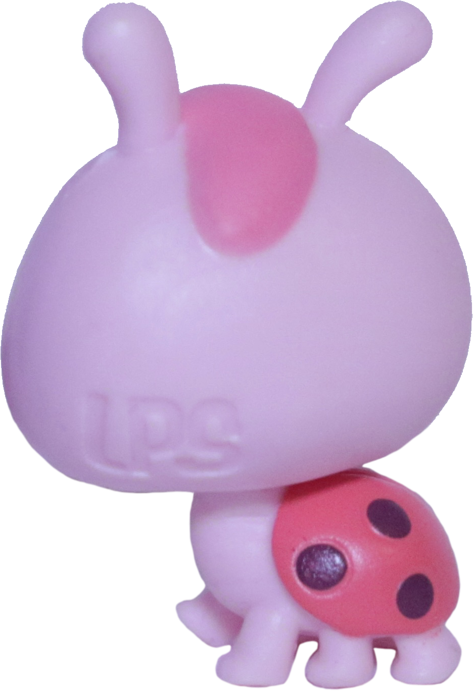 Unknown # Mini Ladybug