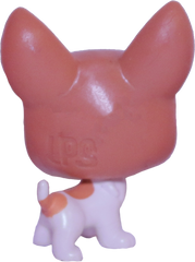 #2-94 Mini Chihuahua "Bree Lahuahua"