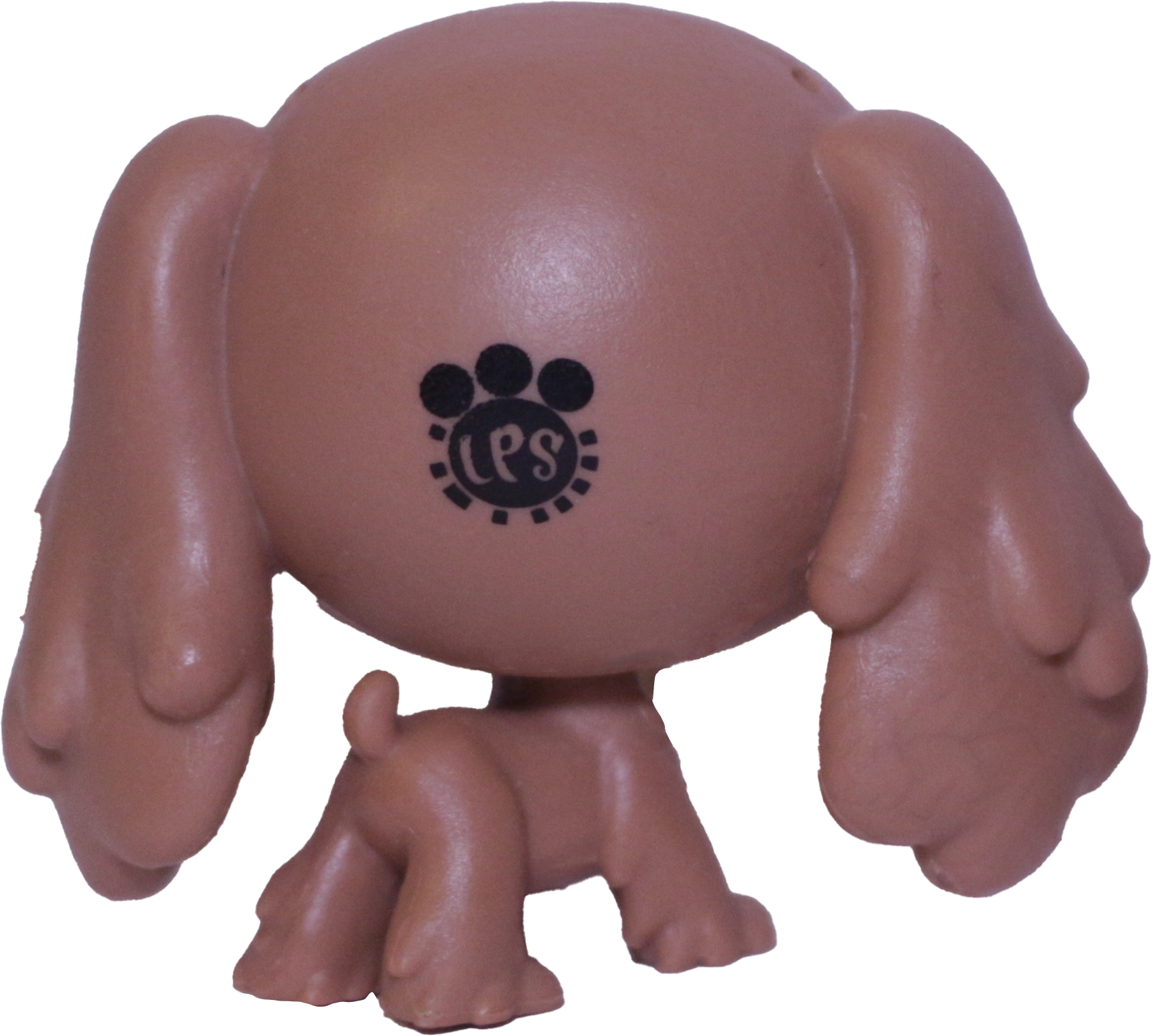 #295 Cocker Spaniel "Nutmeg Dash"