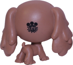 #295 Cocker Spaniel "Nutmeg Dash"