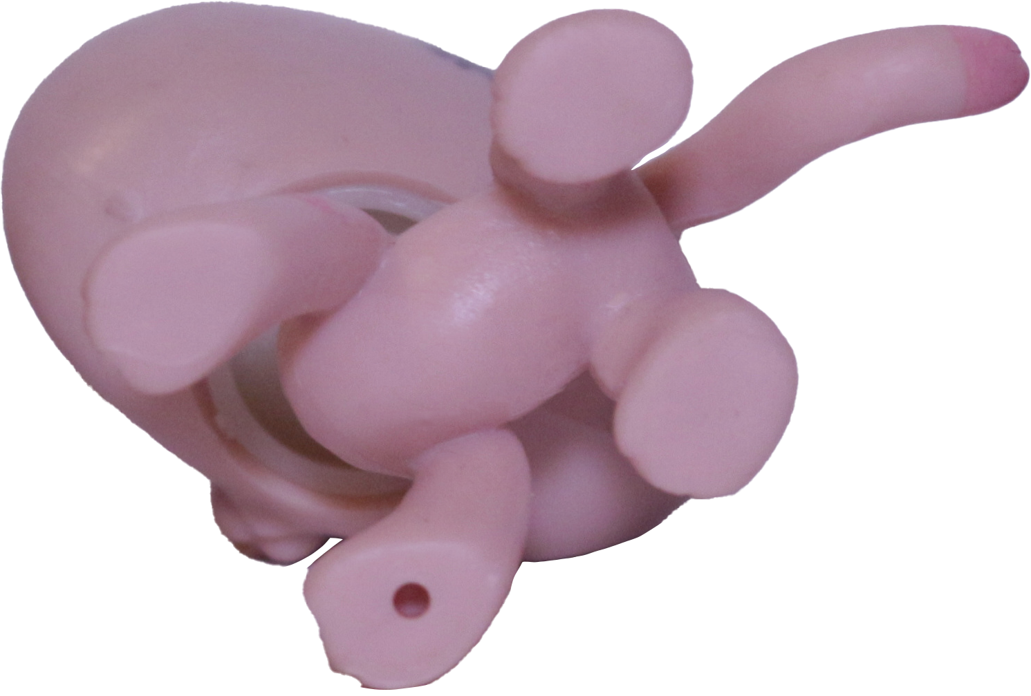 #252 Shorthair Cat "Hula Hibiscus"