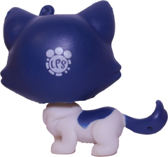 #39 Munchkin Cat "Keena Catley"