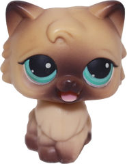 #MM3 Persian Cat