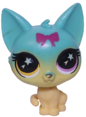 No # Cat "Moonstone"