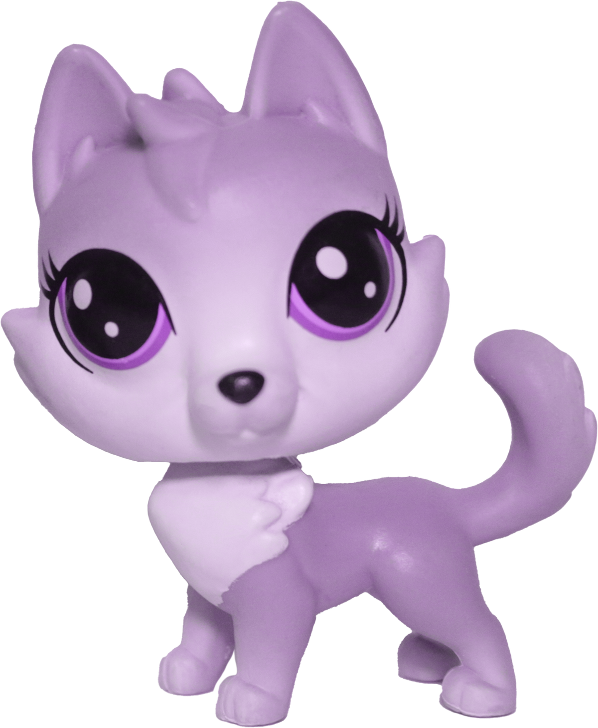 Custom Base: G5 Husky