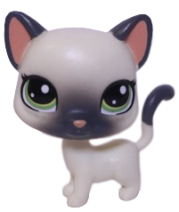 No # Siamese Cat "Cozy Corner"