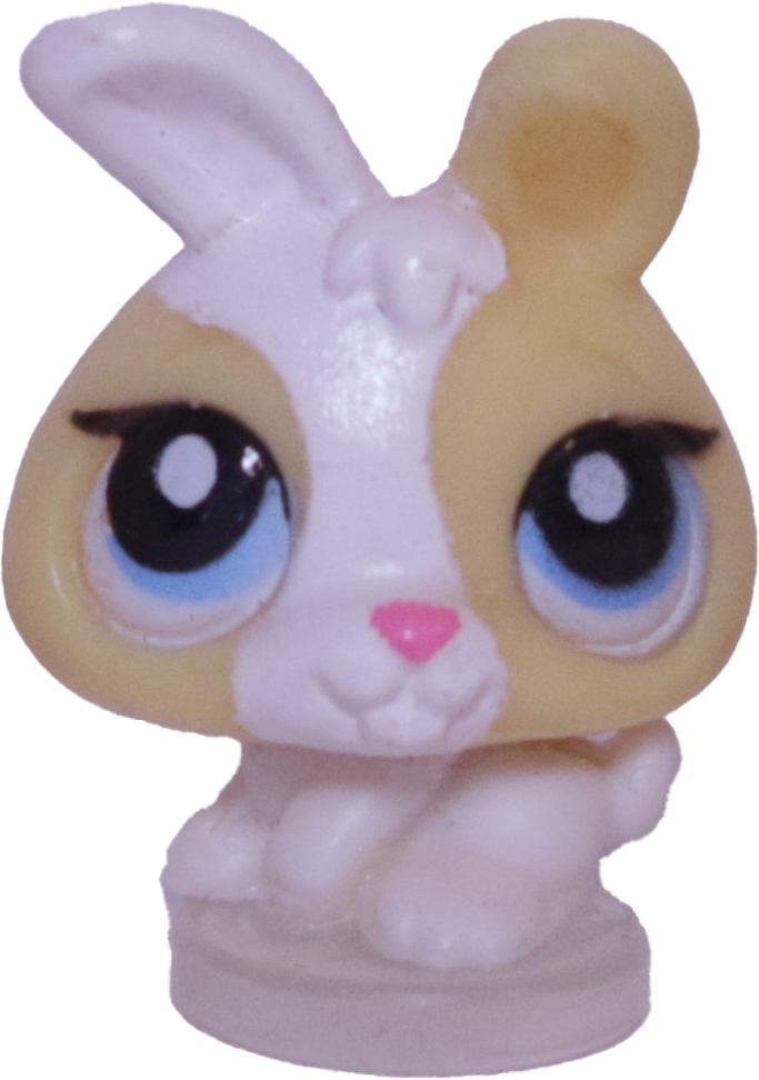 #T?? Teensiest Bunny