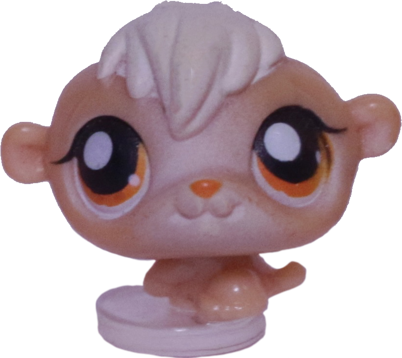 #T?? Teensiest Hamster