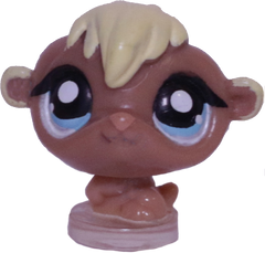 #T?? Teensiest Hamster