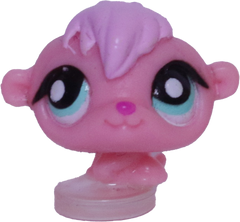 #T?? Teensiest Hamster