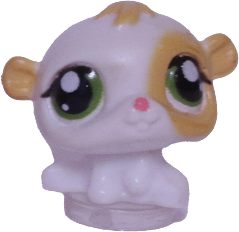 #T?? Teensiest Hamster