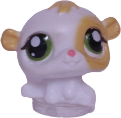 #T?? Teensiest Hamster